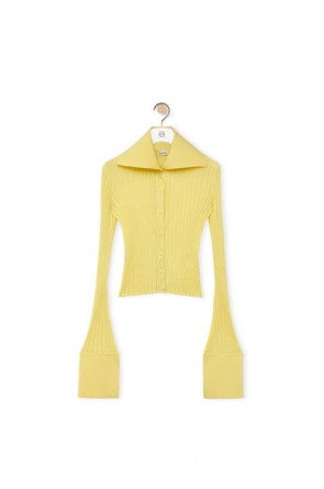 Lady's Loewe Cardigan In Viscose