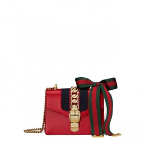 Women Sylvie leather mini chain bag 8605