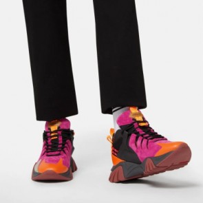 Men's Versace Squalo Hiker Sneakers Shark Anatomy Shoes