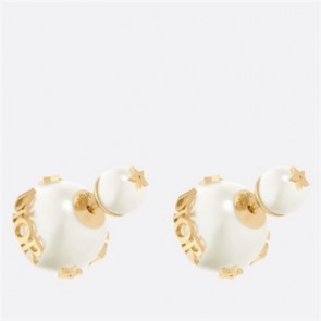 DIOR TRIBALES EARRINGS E1407TRIRS_D301