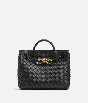 Bottega Veneta Small Andiamo Bag