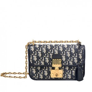 Dior dioraddict flap bag in dior oblique canvas