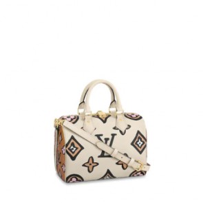 Louis vuitton speedy 25 M45828 BAG
