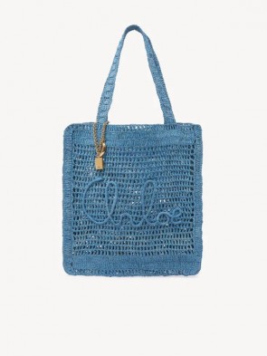 Lady's Chloe Summer Banana Tote Bag In Raffia